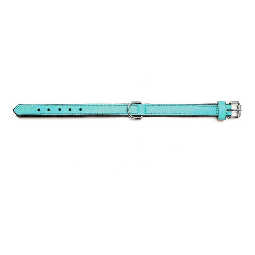 Kutya nyakörv Gloria Padded Tűrkíz 45 cm (45 x 2 cm)