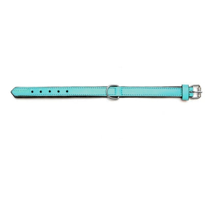 Kutya nyakörv Gloria Padded Tűrkíz 45 cm (45 x 2 cm)
