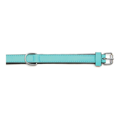 Kutya nyakörv Gloria Padded Tűrkíz 45 cm (45 x 2 cm)