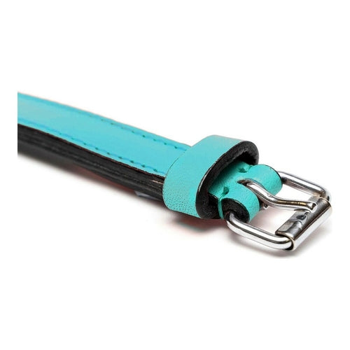 Kutya nyakörv Gloria Padded Tűrkíz 45 cm (45 x 2 cm)