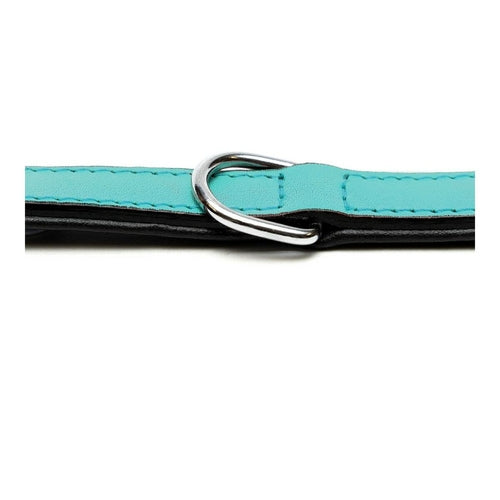 Kutya nyakörv Gloria Padded Tűrkíz 45 cm (45 x 2 cm)