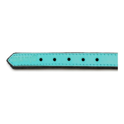 Kutya nyakörv Gloria Padded Tűrkíz 45 cm (45 x 2 cm)